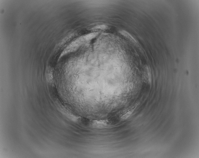 X0000071810573200607141613