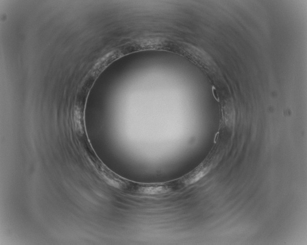 X0000071810575200607141613