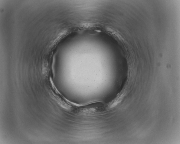 X0000071810576200607141613