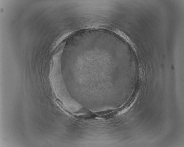 X0000071810577200607141612