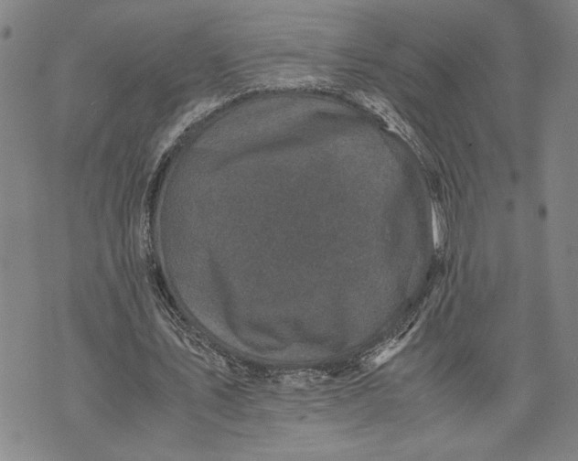 X0000071810579200607141612