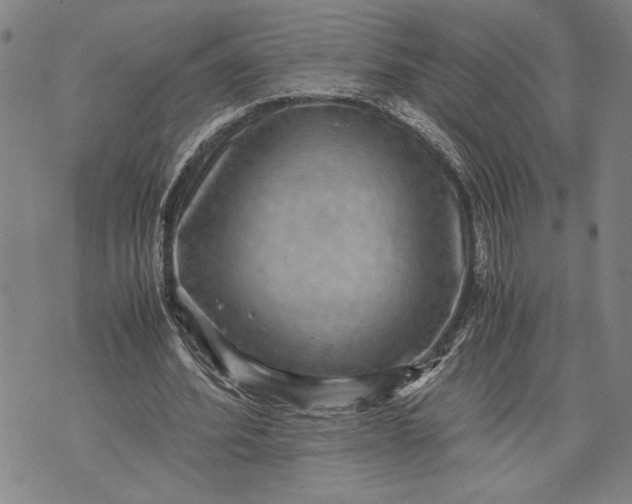 X0000071810580200607141612