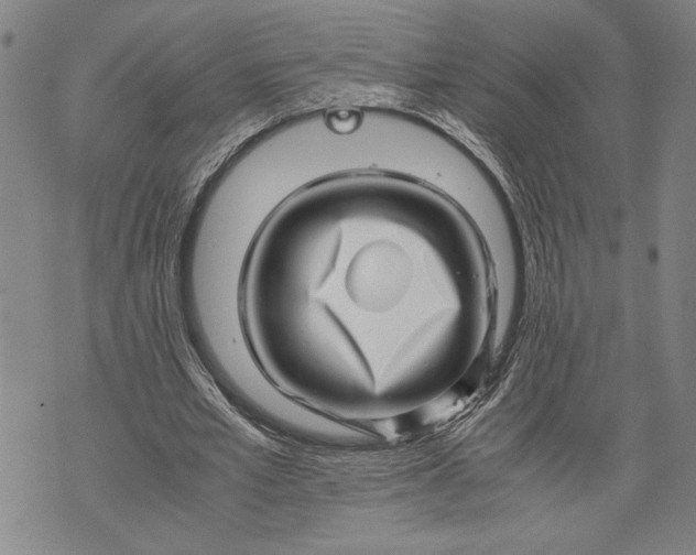 X0000071810581200607141612