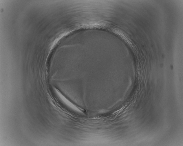 X0000071810583200607141612