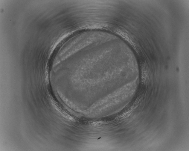 X0000071810584200607141612