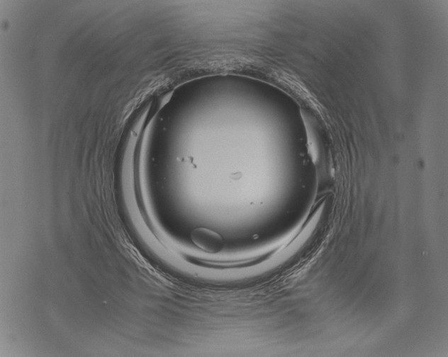 X0000071810585200607141612