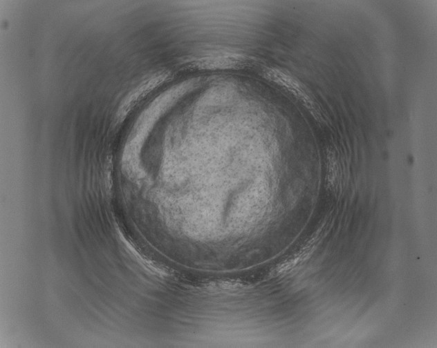 X0000071810586200607141612