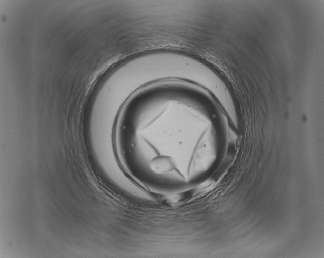 X0000071810587200607141612