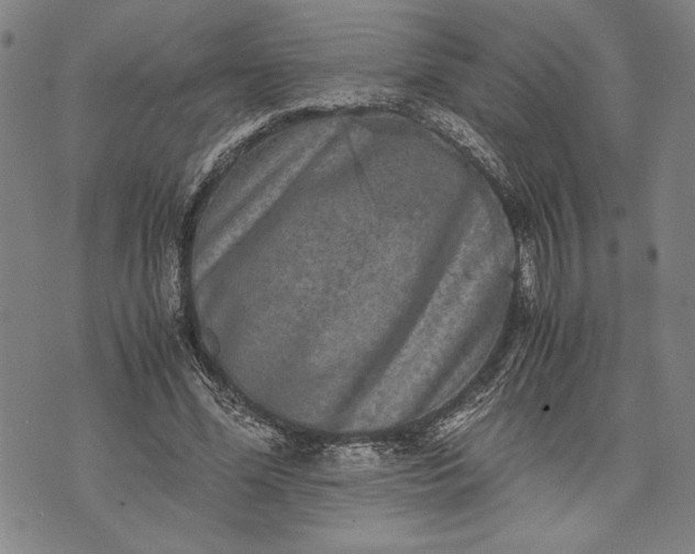 X0000071810588200607141612