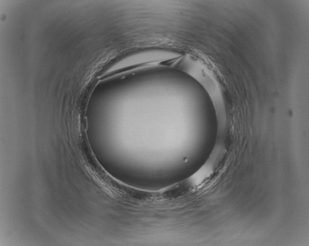 X0000071810589200607141612