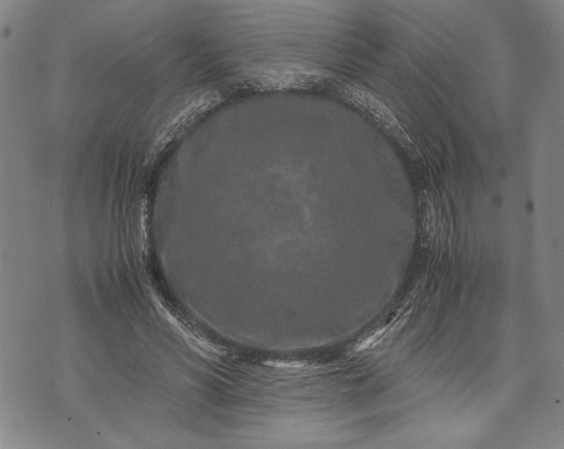 X0000071810590200607141612