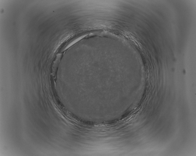 X0000071810591200607141612