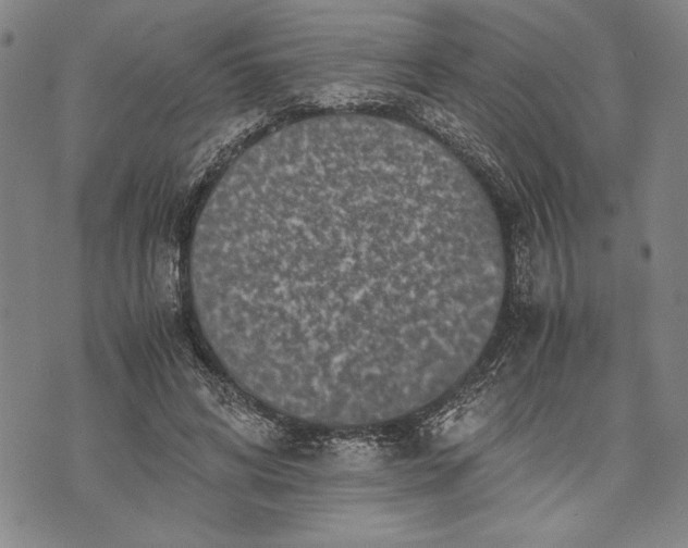 X0000071810592200607141612