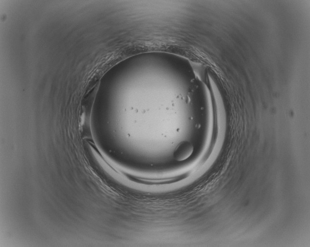 X0000071810593200607141612