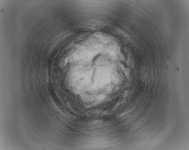 X0000071810594200607141612