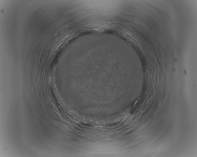 X0000071810595200607141612