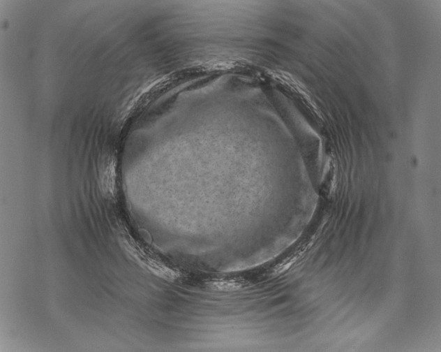 X0000071810596200607141612