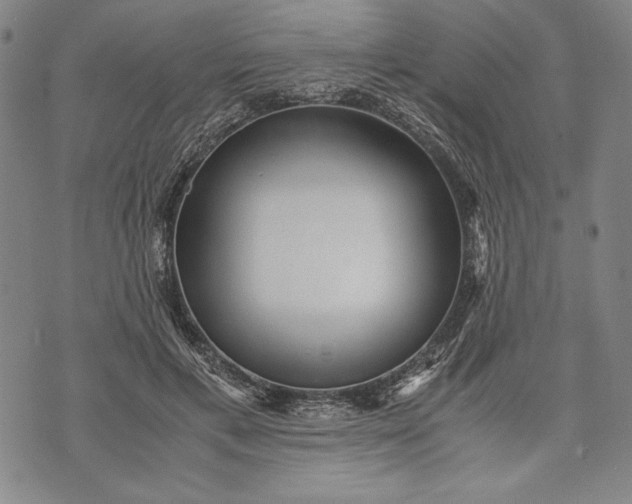 X0000071810597200607141612