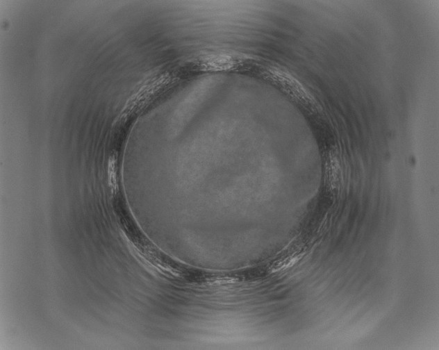 X0000071810598200607141612