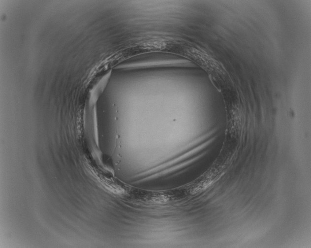 X0000071810600200607141612