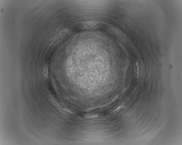 X0000071810602200607141612