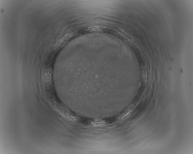 X0000071810603200607141612