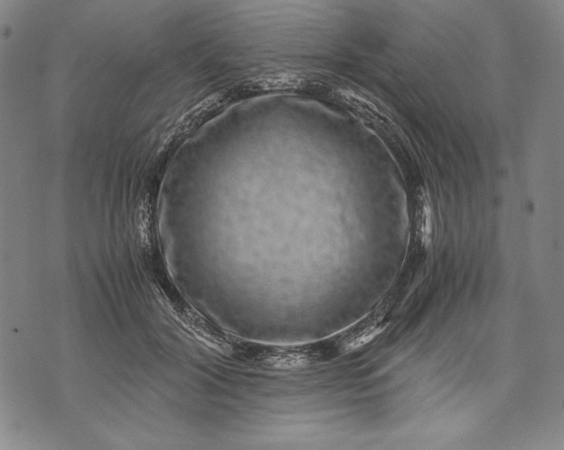 X0000071810604200607141612