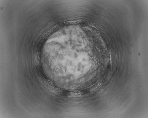 X0000071810606200607141612