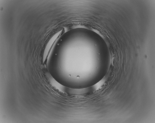 X0000071810609200607141612