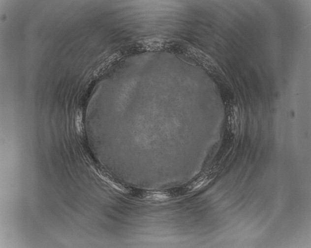 X0000071810610200607141612