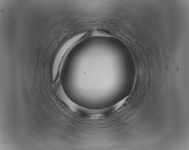 X0000071810611200607141612