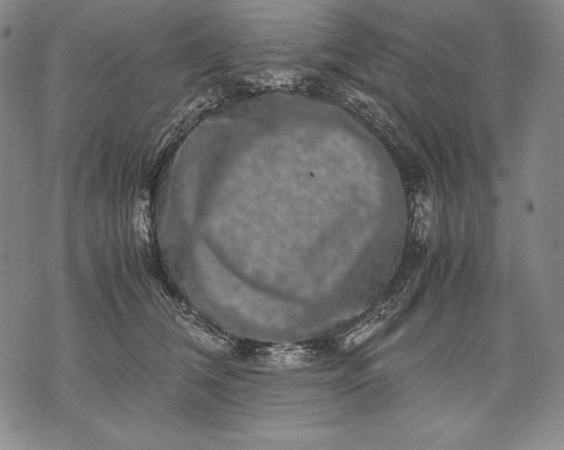 X0000071810612200607141612