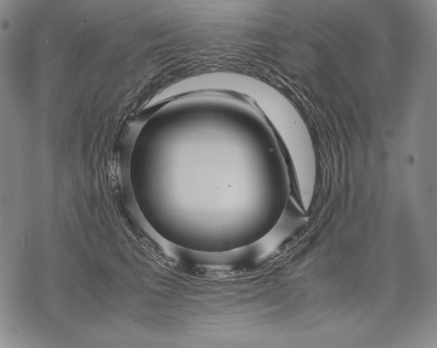 X0000071810613200607141612