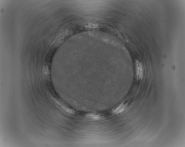 X0000071810614200607141612