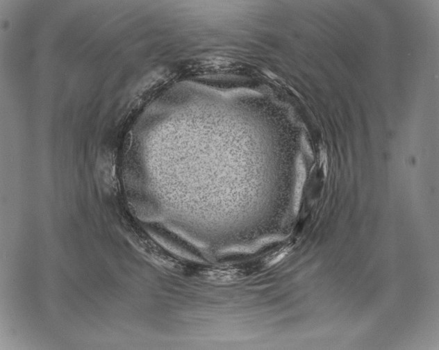 X0000071810615200607141612