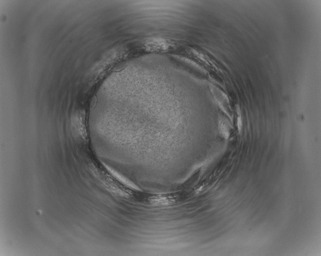 X0000071810616200607141612