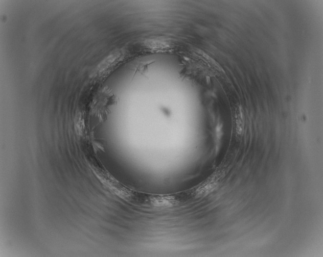 X0000071810618200607141612