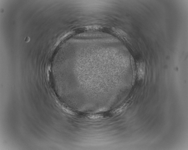 X0000071810619200607141612