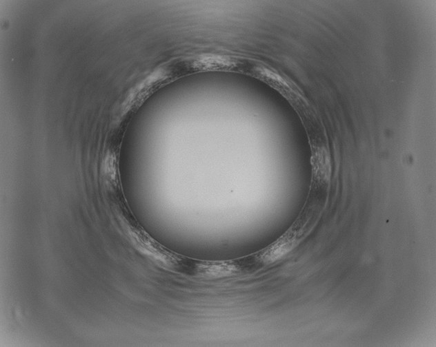 X0000071810621200607141612