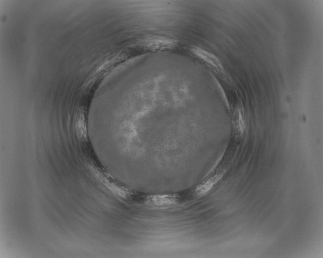 X0000071810622200607141612