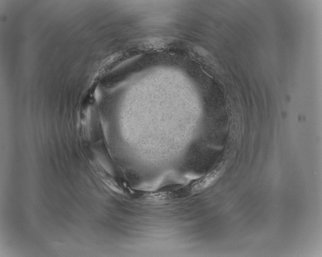 X0000071810624200607141612