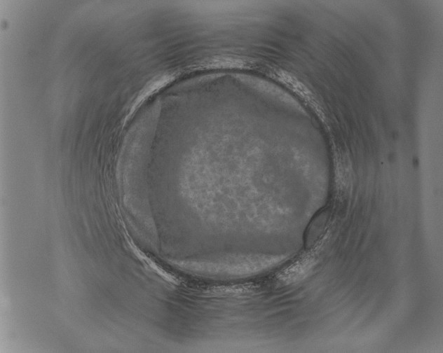 X0000071810625200607141611