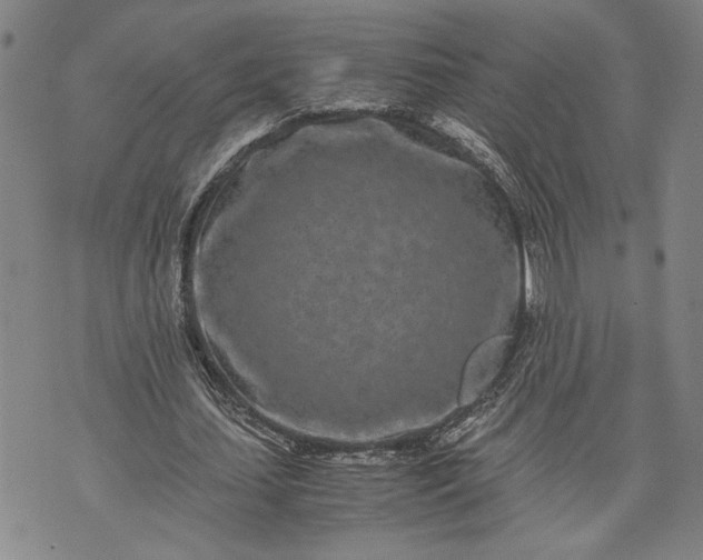 X0000071810627200607141611