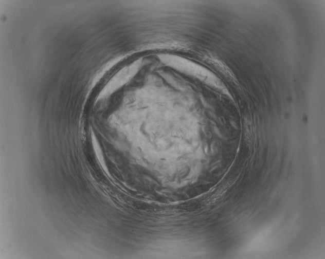 X0000071810628200607141611