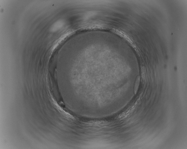 X0000071810629200607141611