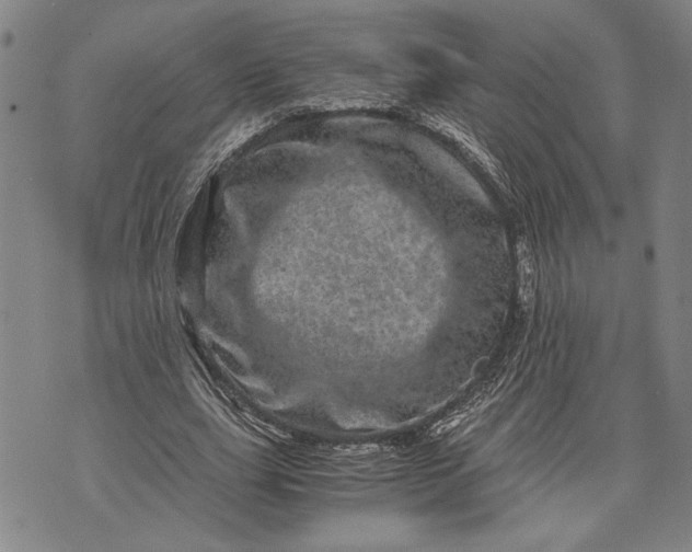 X0000071810631200607141611