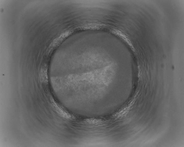 X0000071810633200607141611