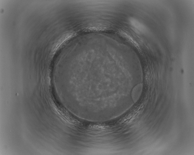 X0000071810635200607141611