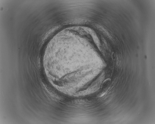 X0000071810636200607141611