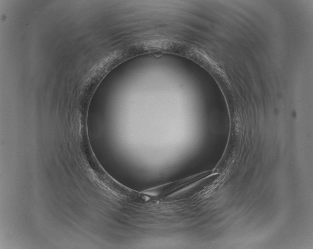 X0000071810637200607141611